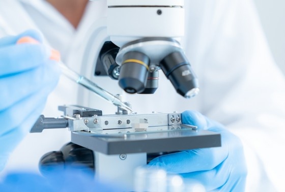    Shutterstock/FOTODOM