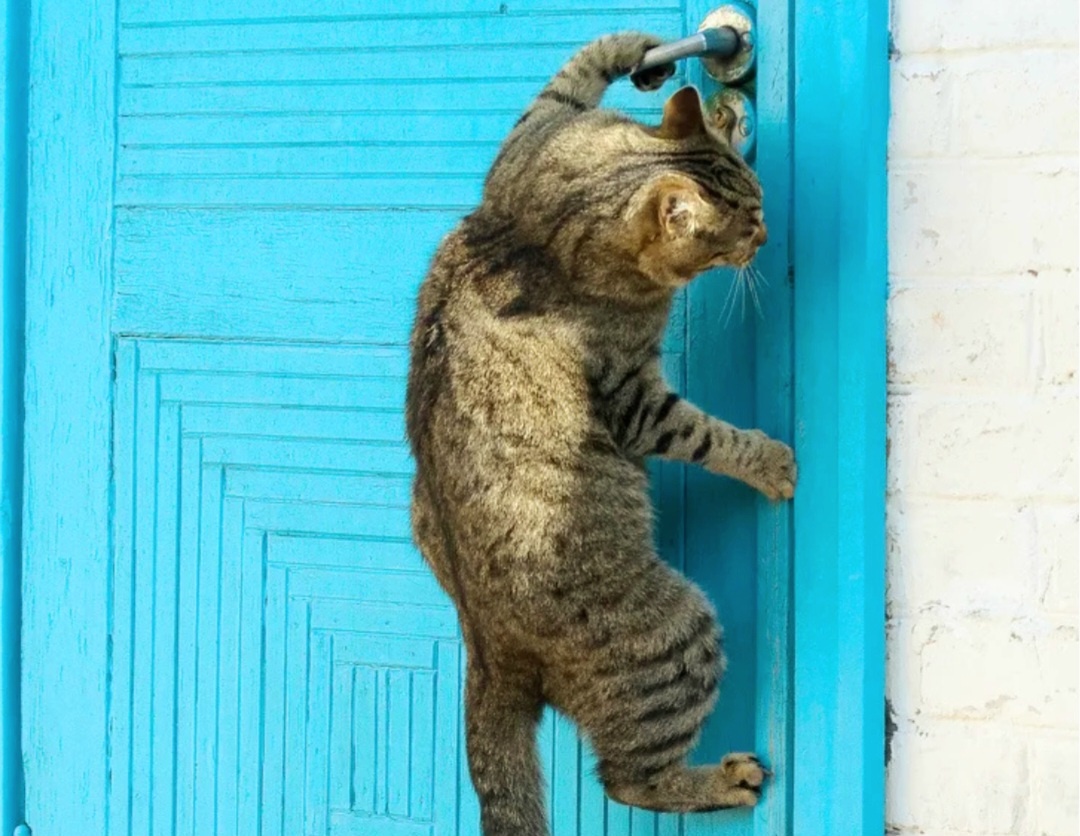 Ах ты вот так! А я как зайду домой, ну тогда берегись, Саня! Нашёл за что меня наказывать...подумаешь разбил вазу!