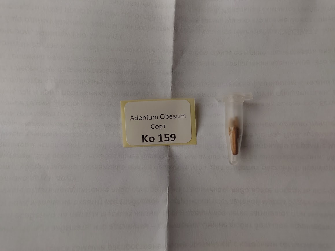 В упаковке 4 семечки