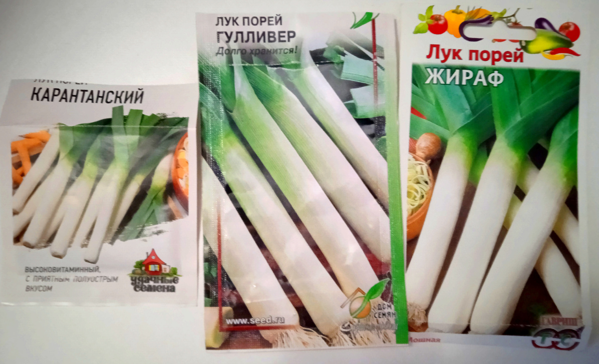 Вот такие семена. Сплошной бюджет и скука, никаких тебе супер-пупер сортов. Но может и зря. 