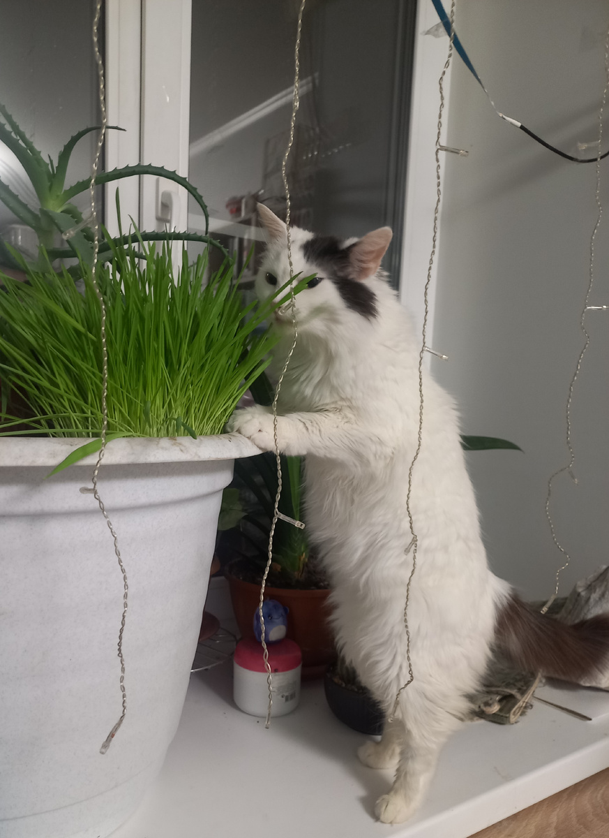 Витаминизируемся