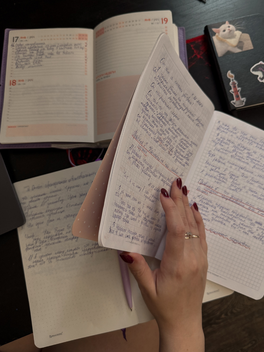 Мои блокнлоные штуки. Кстати, в чёрном микробыше в правом верхнем углу я и записываю свои цели на год.