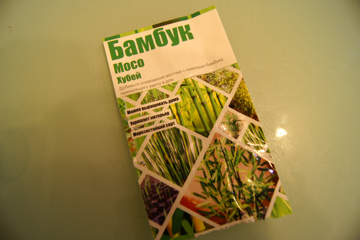 Бамбук (листоколосник)