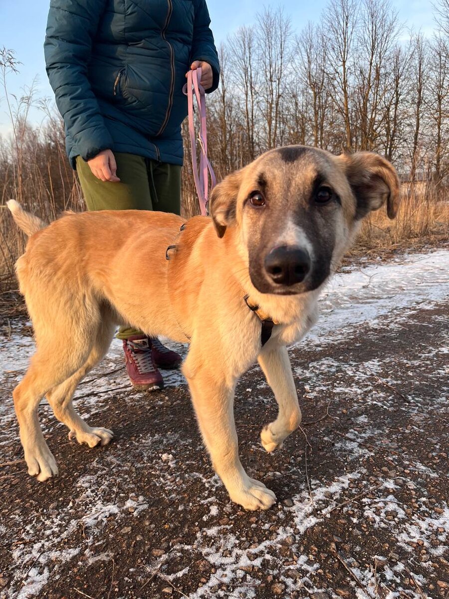 Привееееет!!