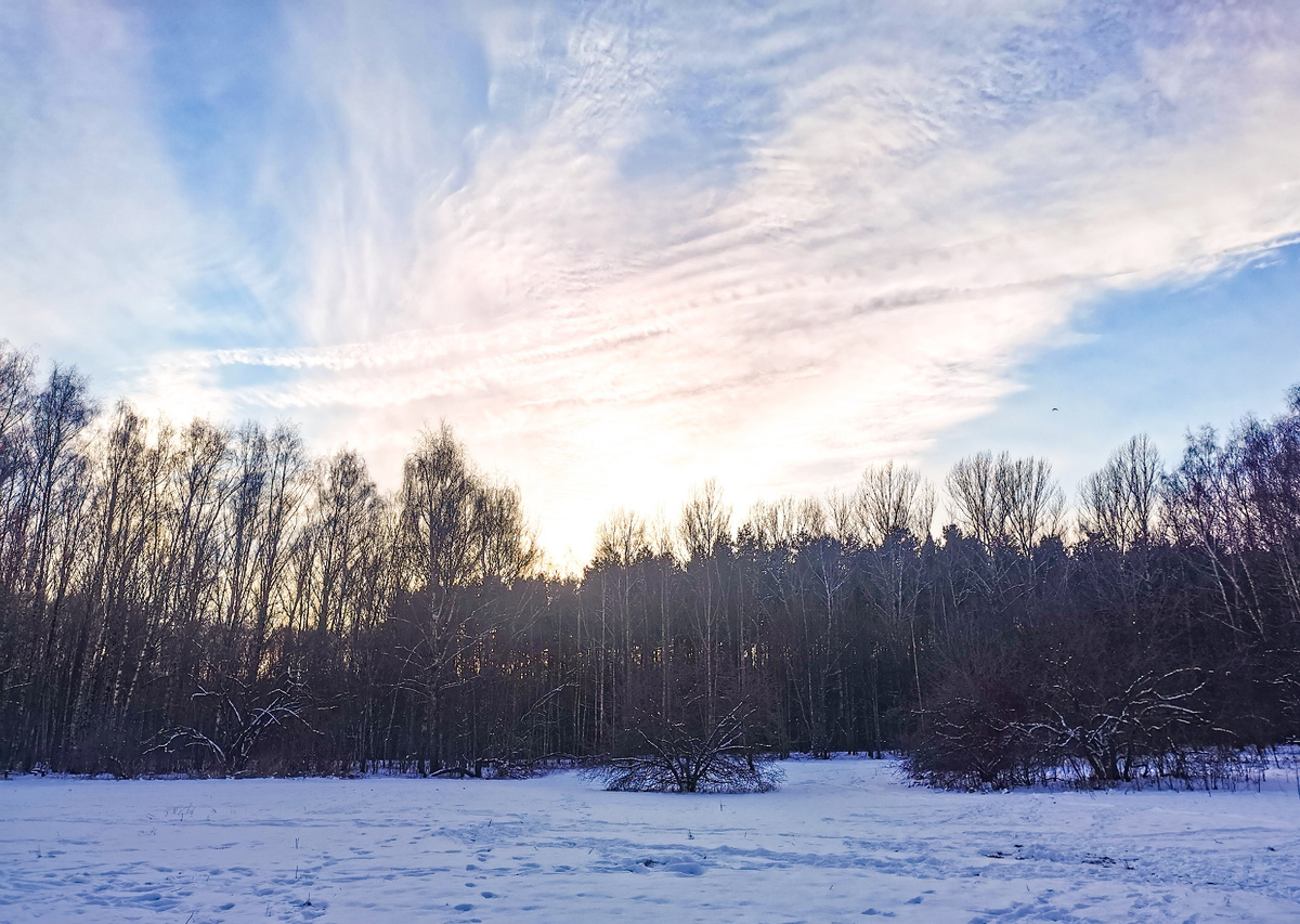 Это фото я сделала уже на обратном пути. Небо невероятное! В воздухе веет весной
