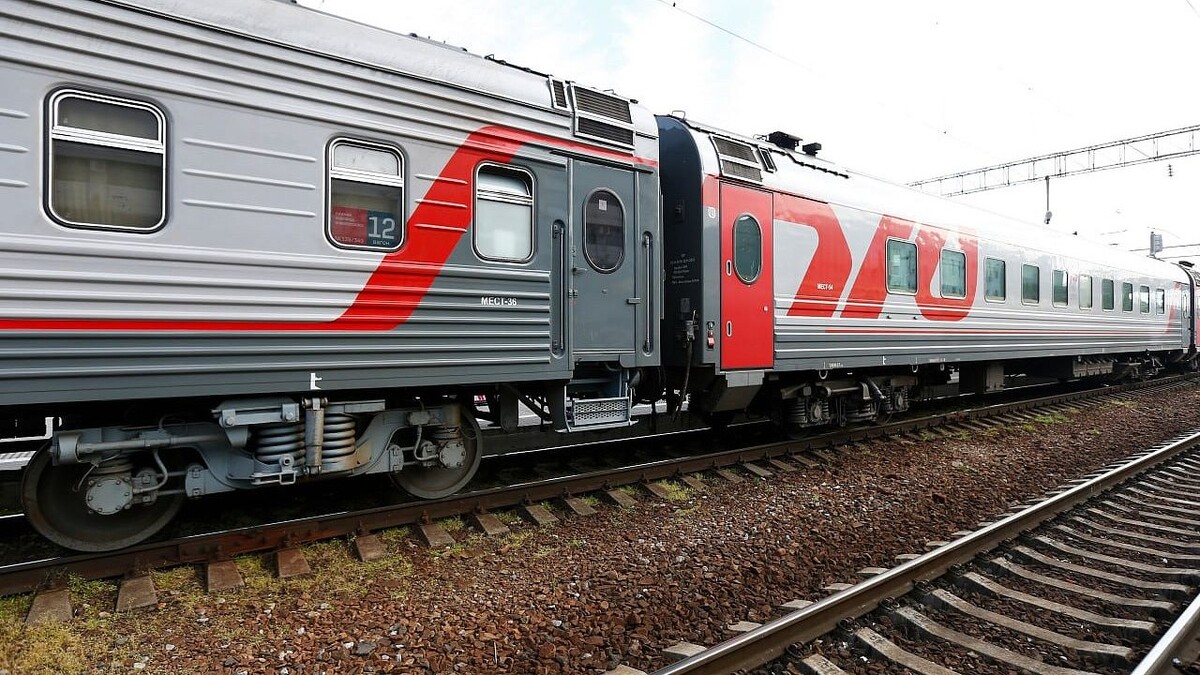    Фото: телеканал «Краснодар»