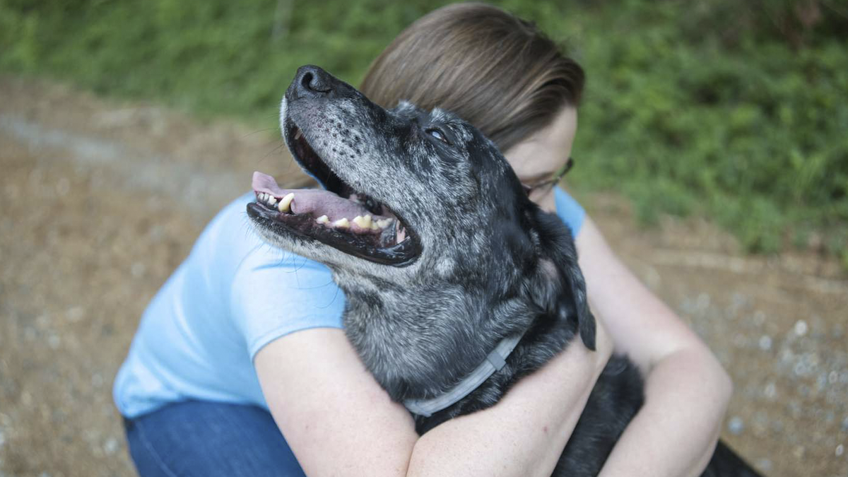    Хозяйка обнимает собаку