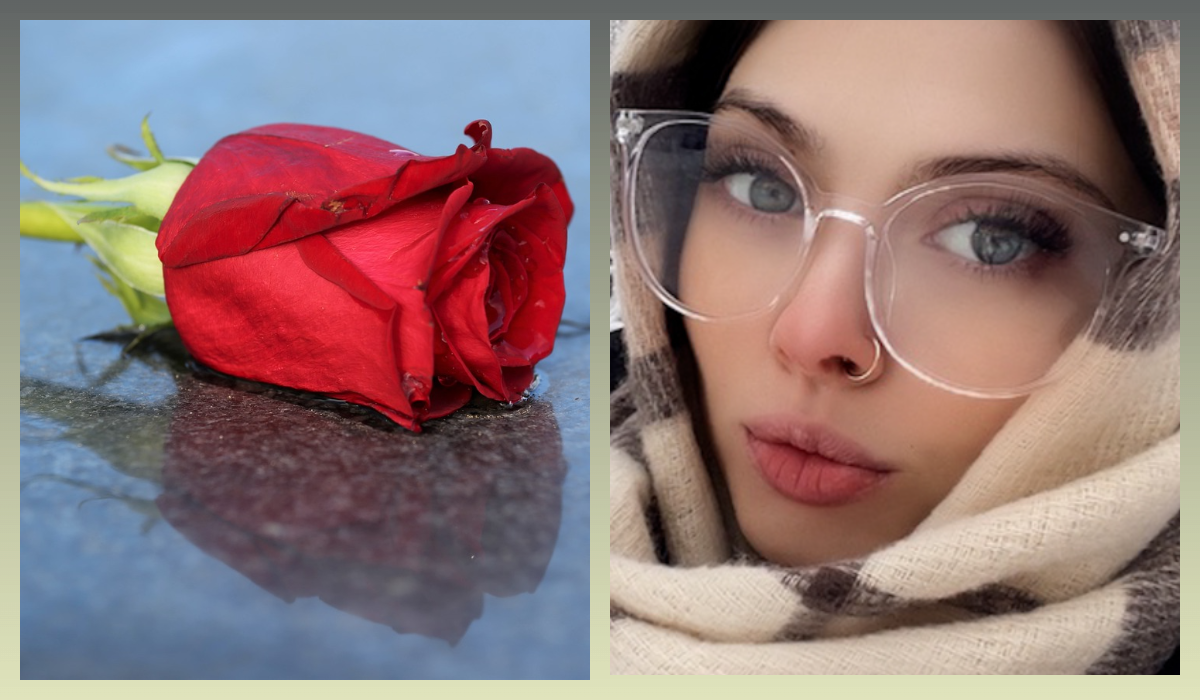 ВКонтакте/Виктория Лерман/bulletvika. pixabay.com