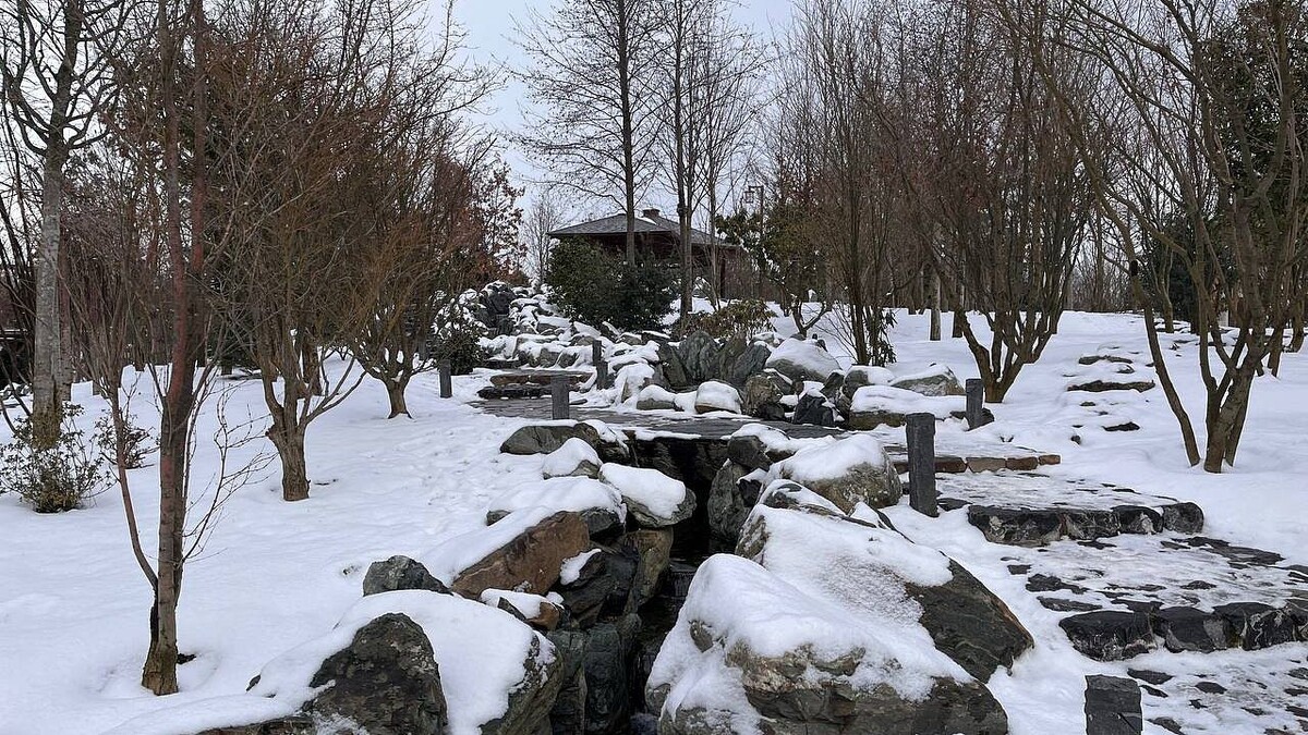    Фото: телеканал «Краснодар»