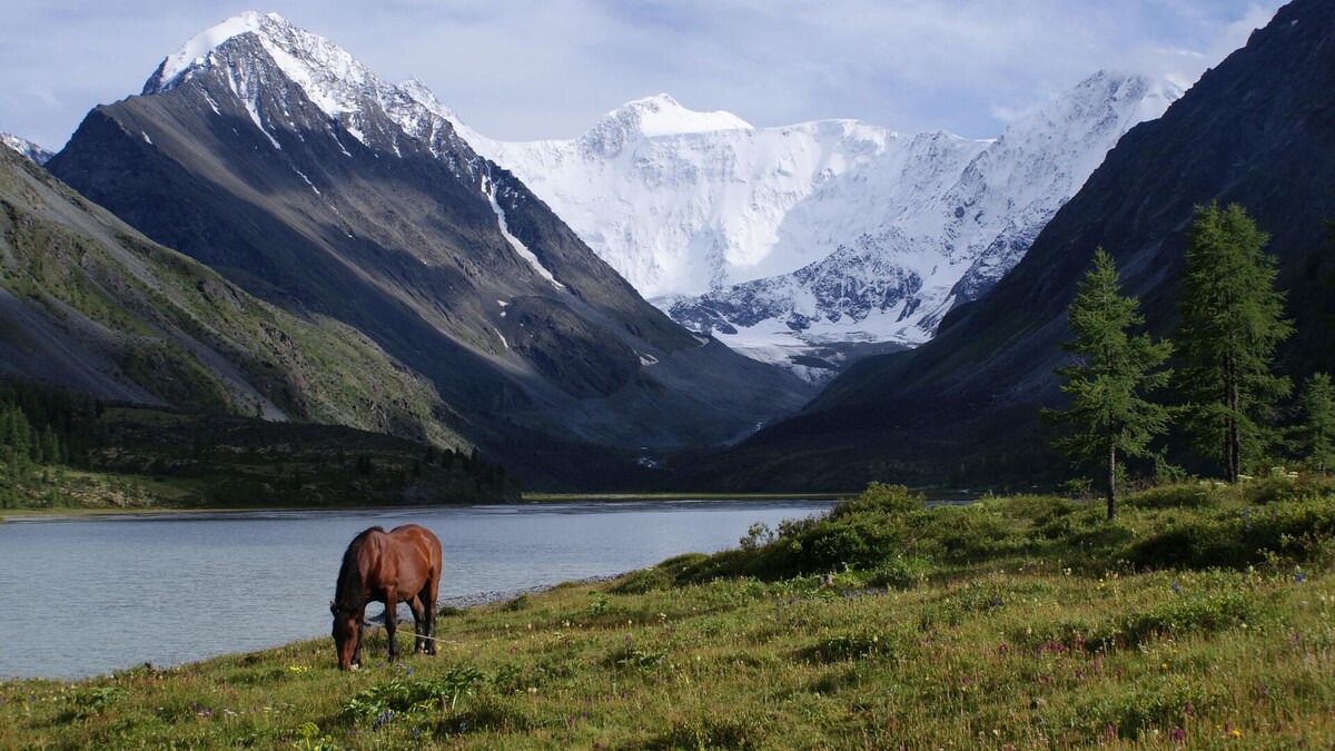 Алтайские горы