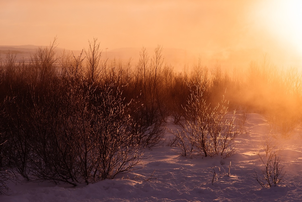   Фото: по лицензии CC0 Pxhere.com
