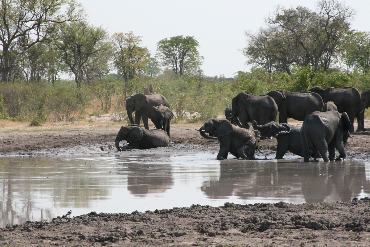 Попили - можно поиграть. Ботсвана, Вумбура.