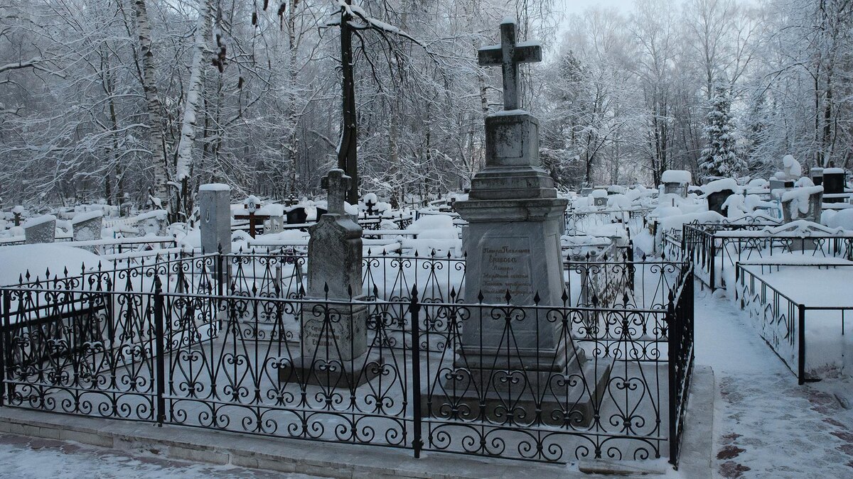 Фото: Dmitry Chasovitin/globallookpress.com