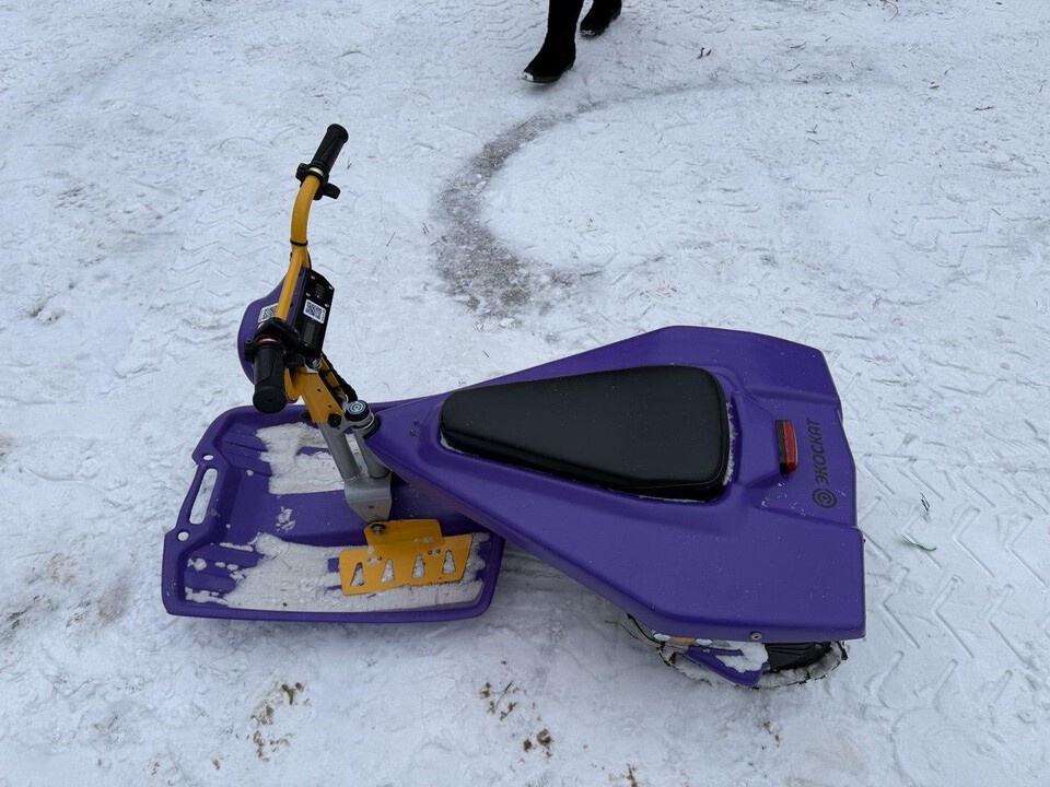     Фото: Анна Сполохова