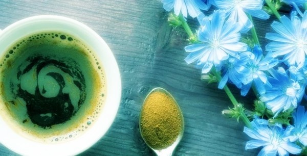 Одно из достоинств цикория – отсутствие в составе кофеина.
