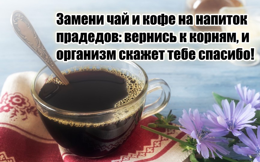 Замени чай и кофе на напиток наших прадедов, и организм тебя отблагодарит нормальным давлением и сном (бонусом скинешь 5-6 лишних кг)