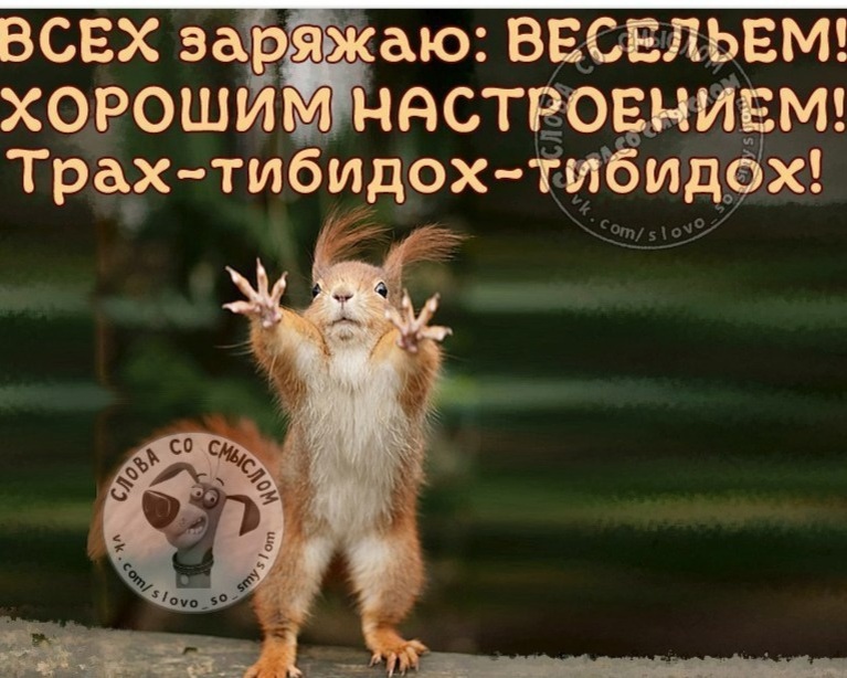 Яндекс Открытый источник 