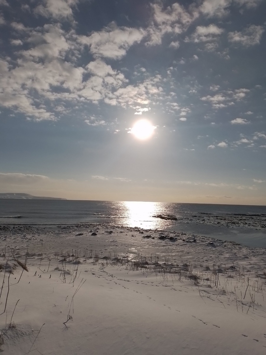 Солнце - редкий гость на Командорах. Фото автора  