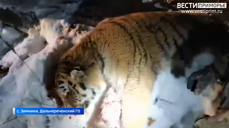    Источник фото: