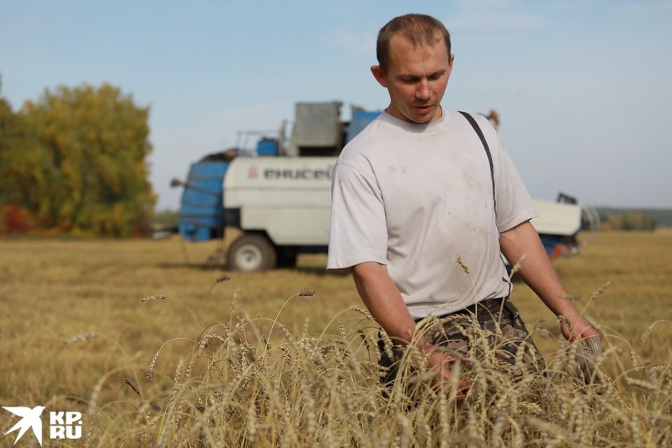    Закупочная цена ржи слишком низкая Мария ЛЕНЦ