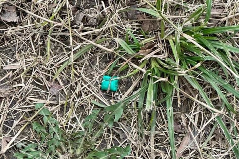 Фото: t.me/police_sochi
