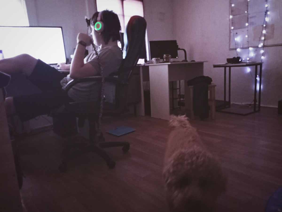 Румпель: - Где мой прингвиииин....