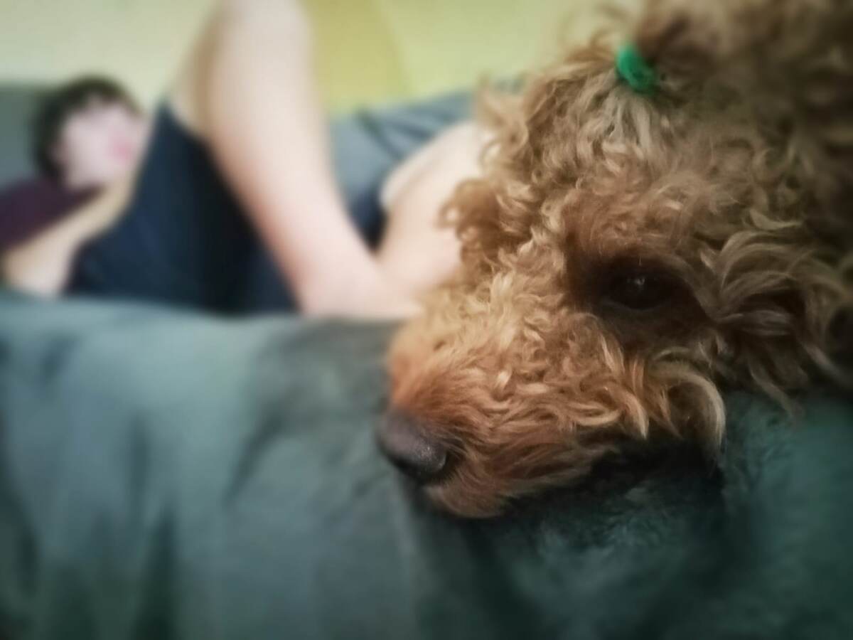 Румпель: - Я сопротивлялся. Честно-честно.