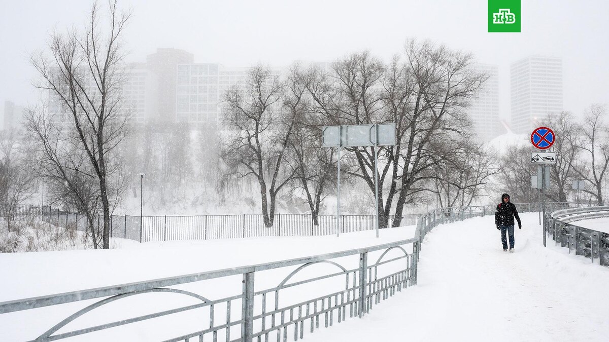    Фото: РИА Новости © 2025, Александр Кряжев