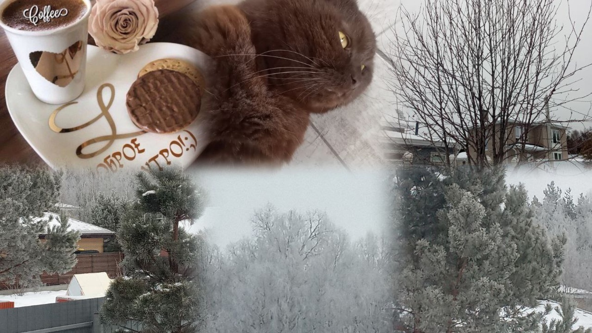 С добрым утром.