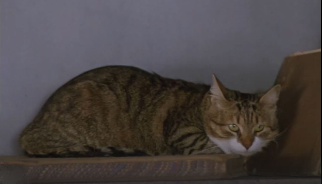 Когда замыслил зло...