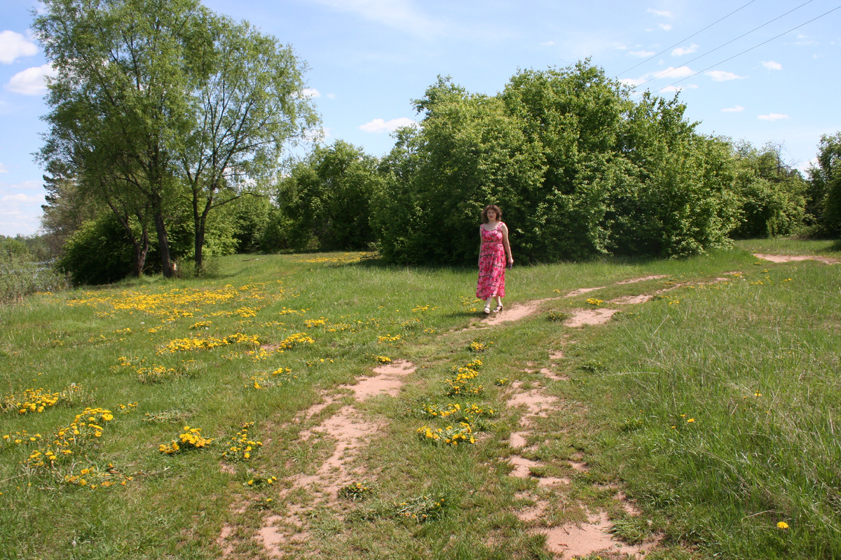 Сибирская дорога