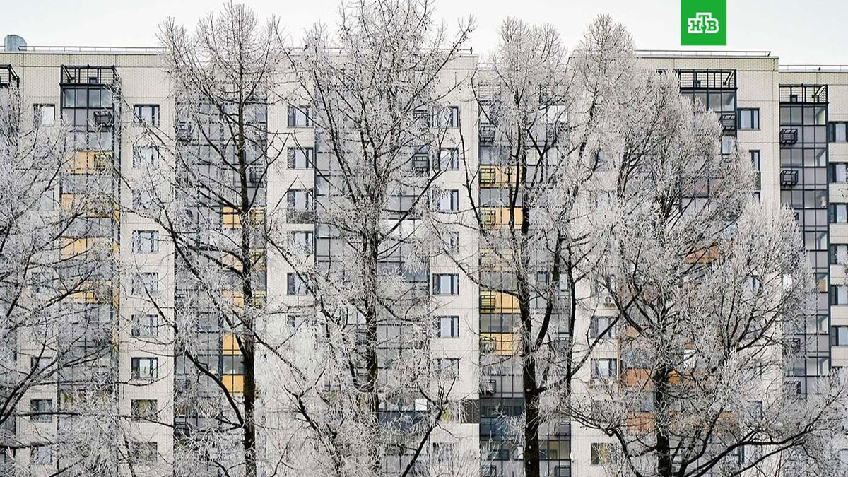    Фото: Е. Самарина / mos.ru