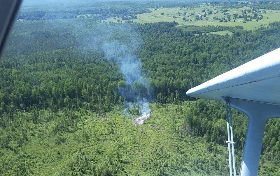    Фото: Министерство природных ресурсов пермского края Ольга Гилёва