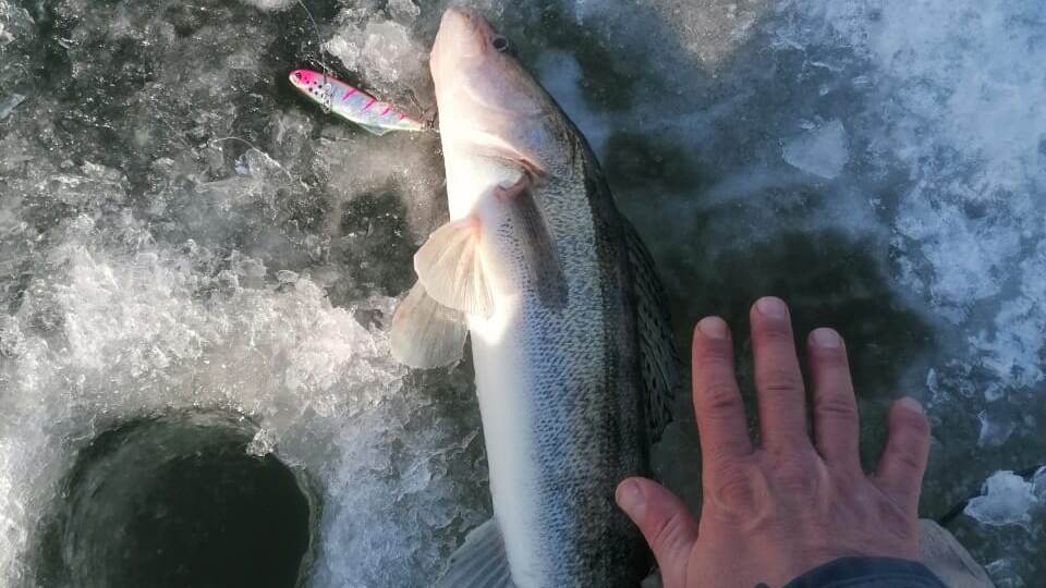 Судак на виб. Слияние Чёрной Калитвы и Дона