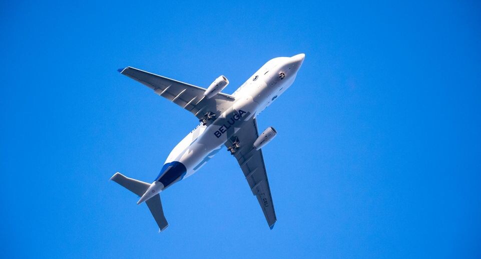    Jonas Walzberg/dpa / Global Look Press