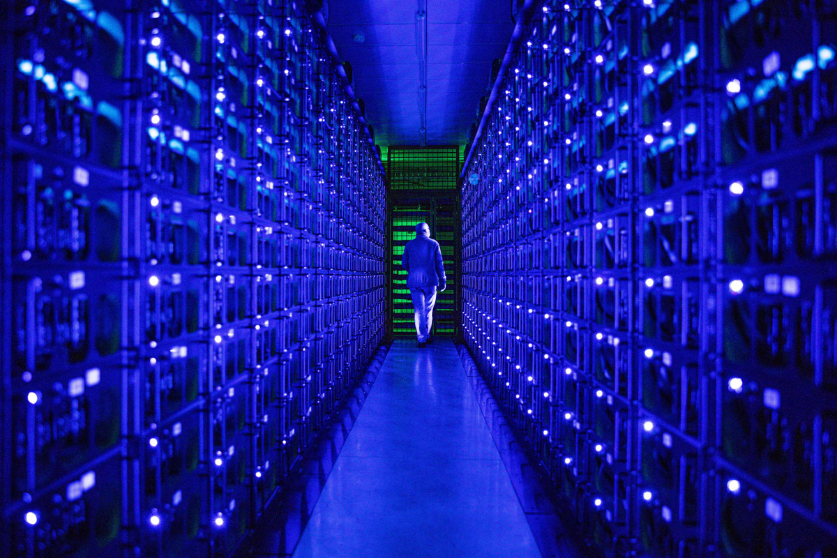 фото из интернета