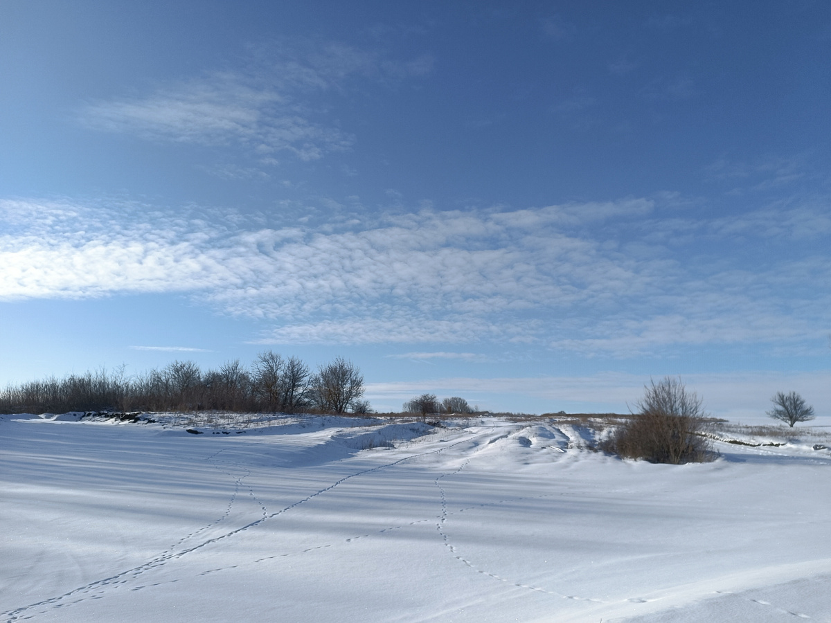 Зимний пейзаж