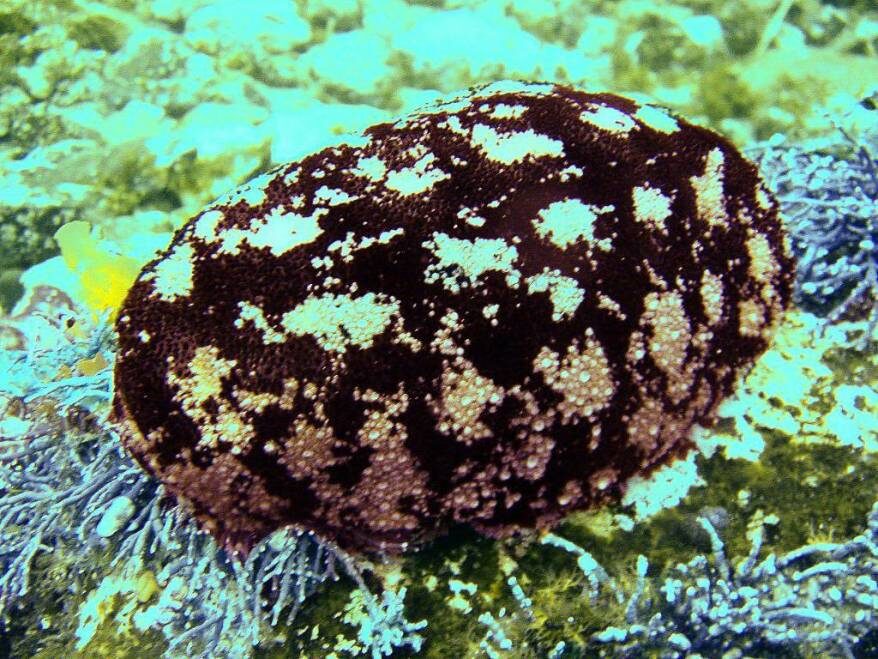    Источник фото: Сергей Труболыс