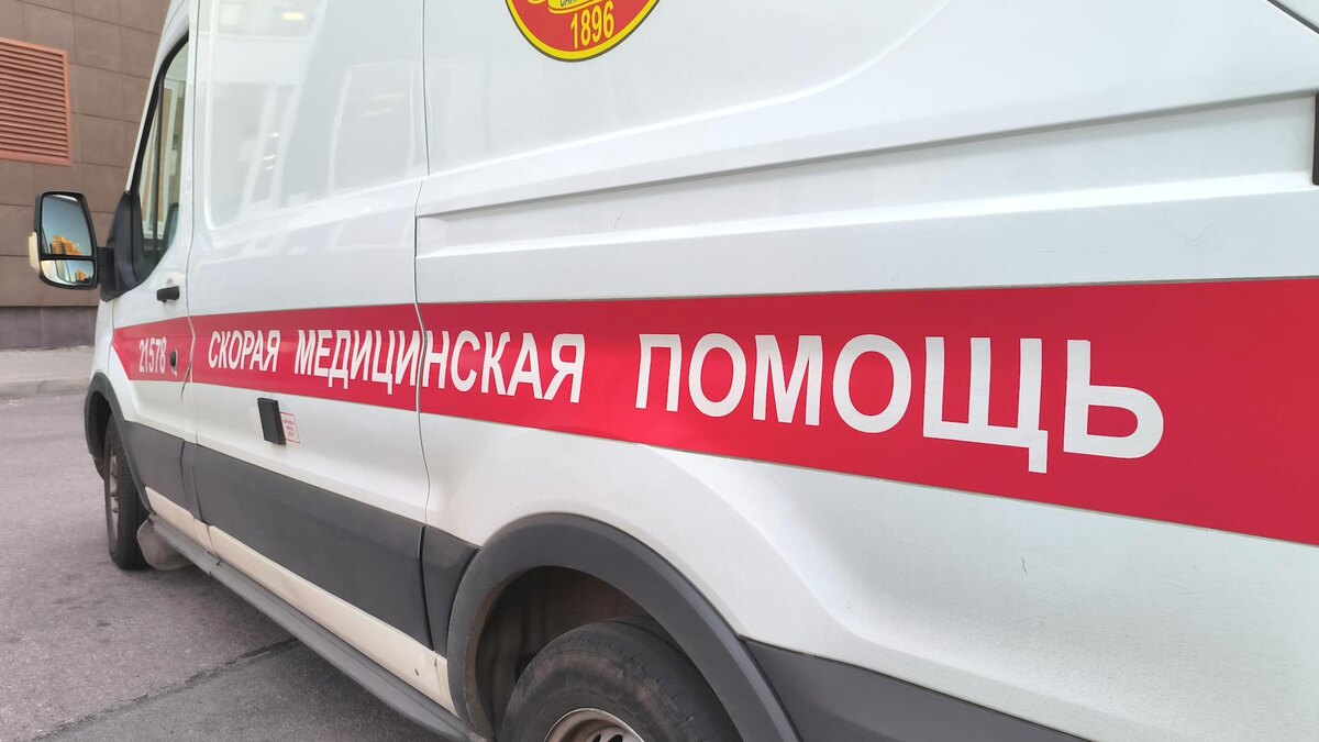    Фото: Maksim Konstantinov/globallookpress.com