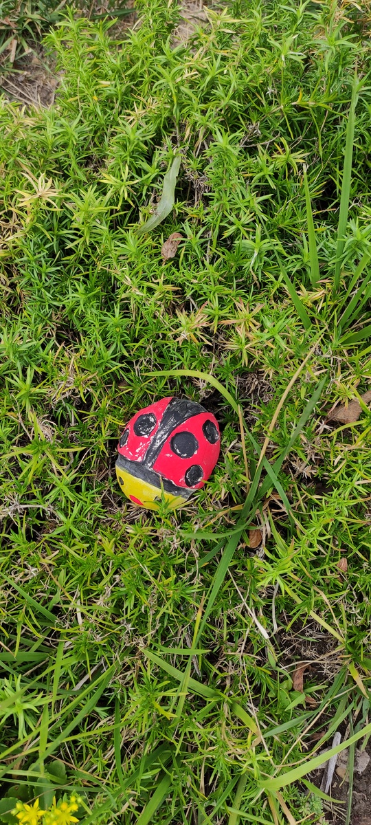 фото моих друзей