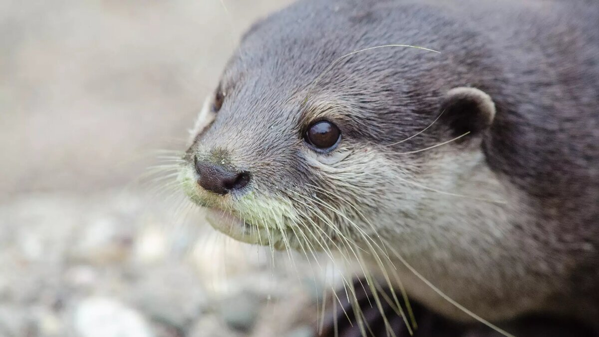     Источник: pxhere.com