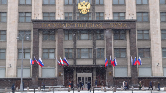    Госдума в приоритетном порядке обсудит 26 законопроектов о поддержке бойцов СВО и их семей Алина Городниченко