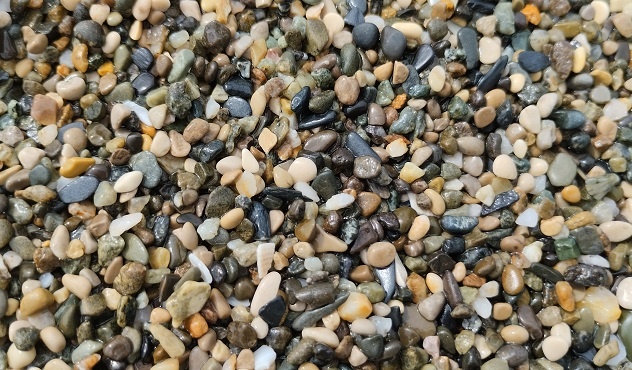 Фотография из личного архива автора