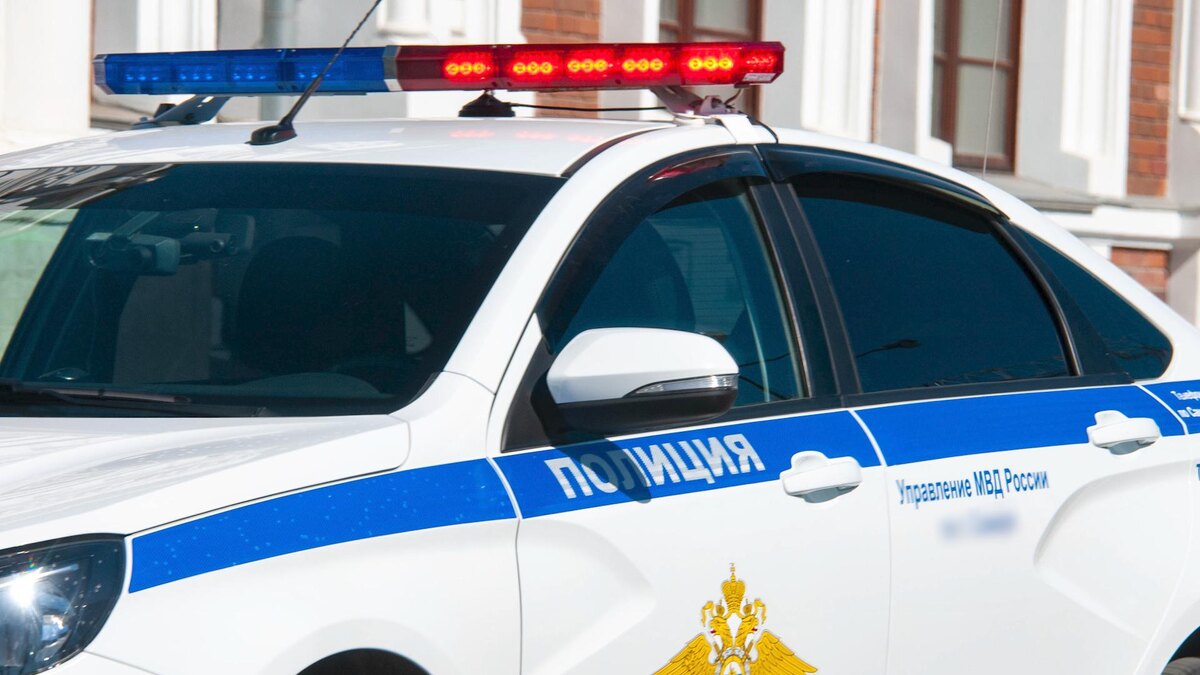    Фото: Svetlana Vozmilova/globallookpress.com