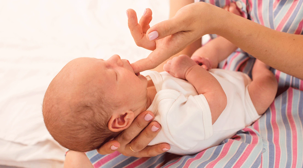 Image: Oksana Shufrych | Shutterstock