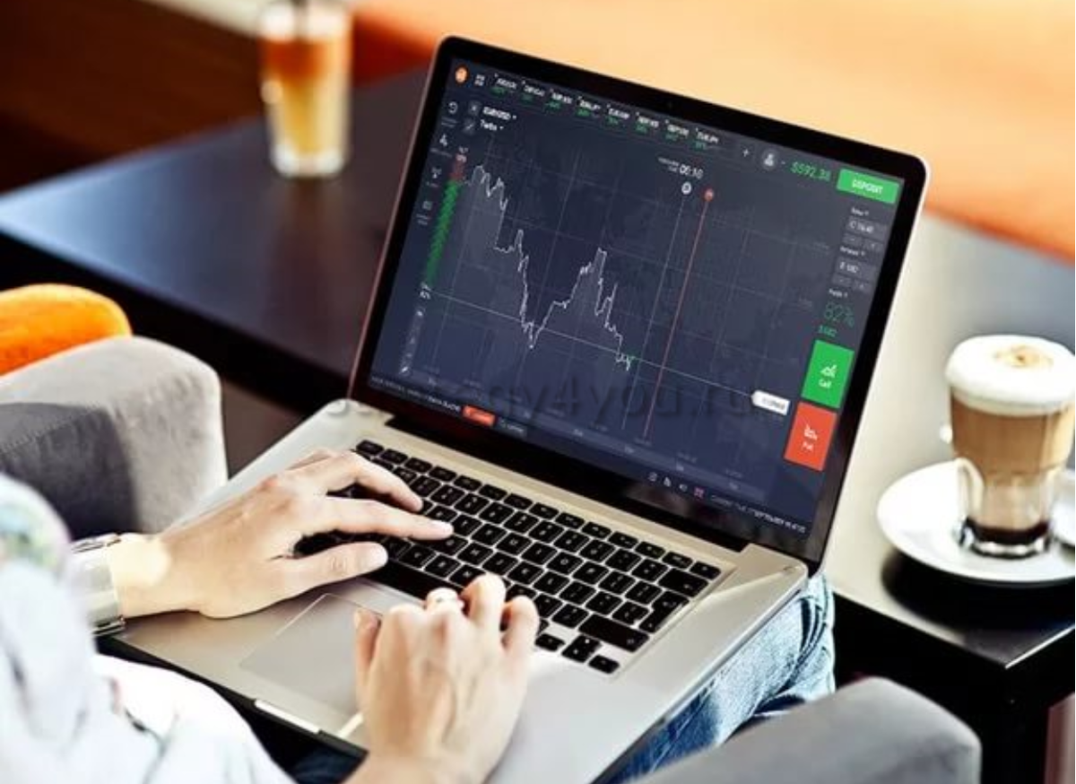 Как заработать на Форексе без опыта: секреты для новичков