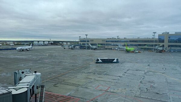    Фото: Александр Выдро/BFM Кубань