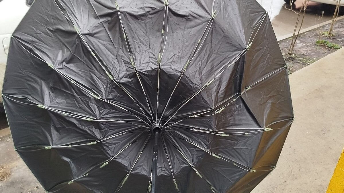    фото: телеканал «Краснодар»