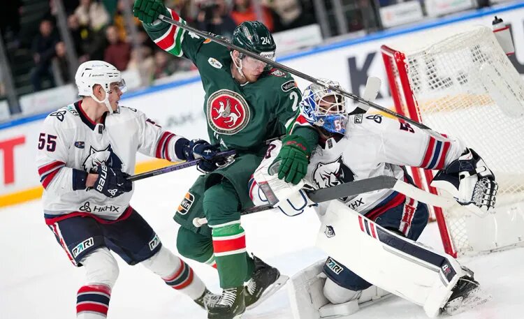    Источник фото: ХК «Ак Барс»