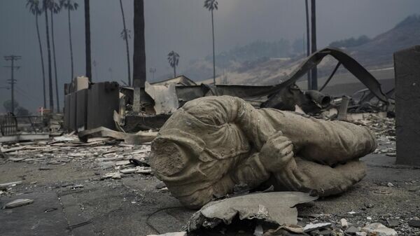    © AP / Damian Dovarganes